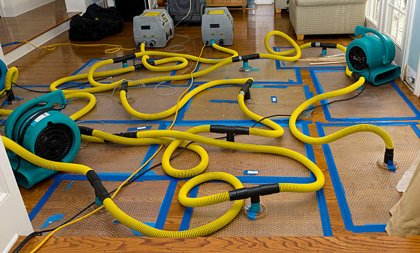 Professional Basement Flood Cleanup technician working in Bascom, OH